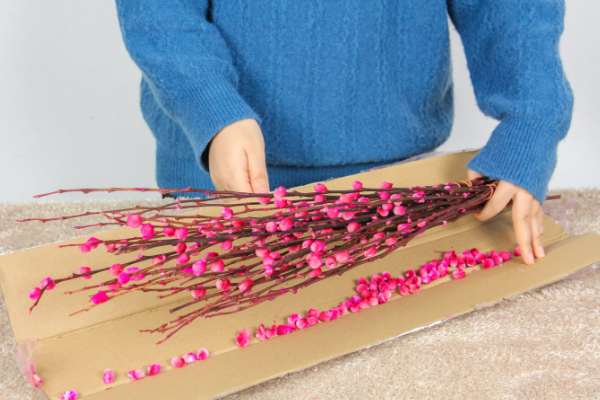 银柳干养好还是水培好