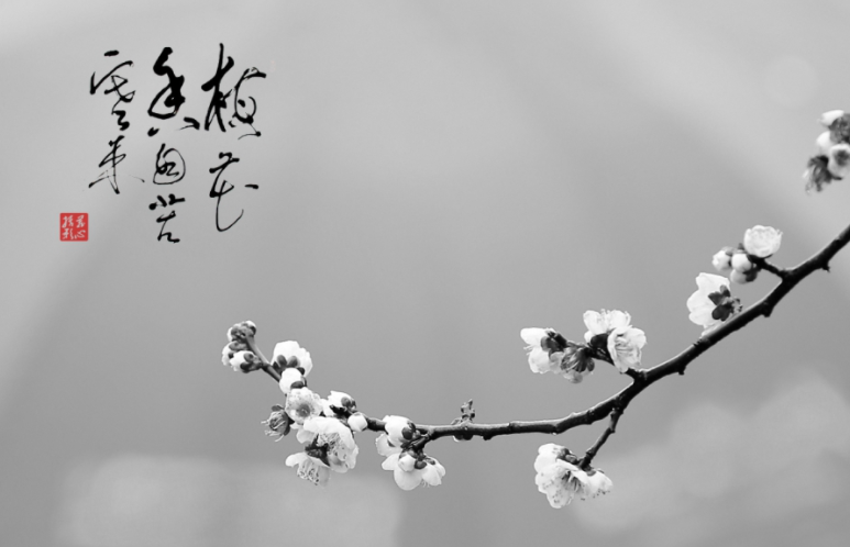 梅花香自苦寒来出自哪？