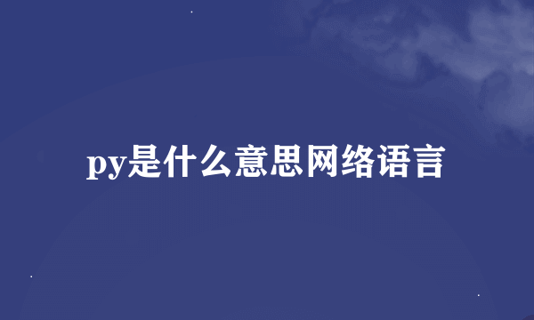 py是什么意思网络语言