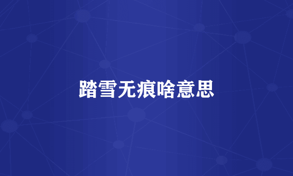 踏雪无痕啥意思