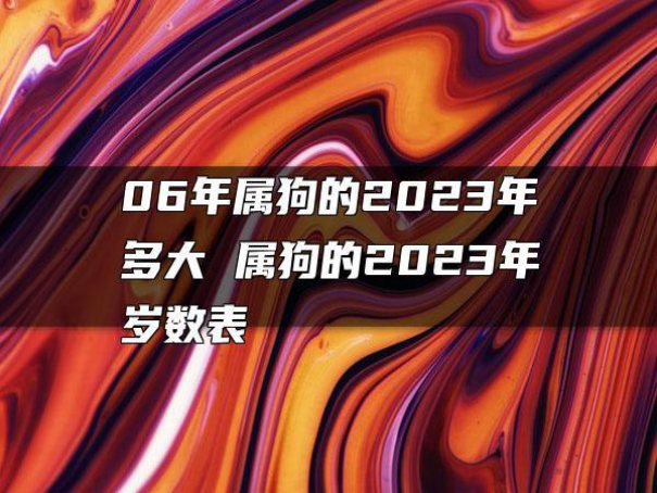 我是2006年出生的，今年多大了呀？