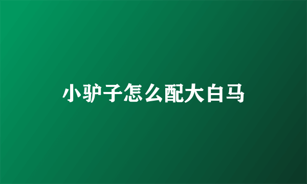 小驴子怎么配大白马