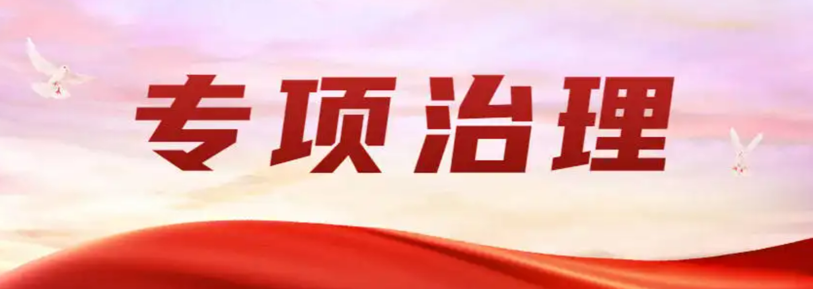 专项是什么意思