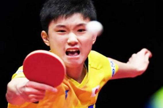 乒乓球运动员杨晓欣的教练是谁