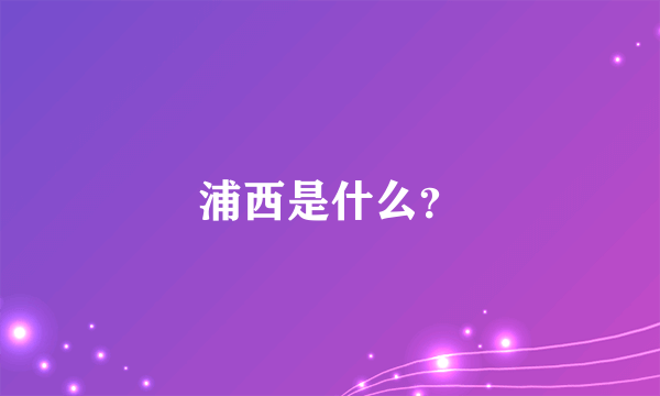 浦西是什么？