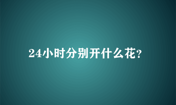 24小时分别开什么花？