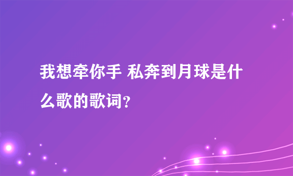 我想牵你手 私奔到月球是什么歌的歌词？