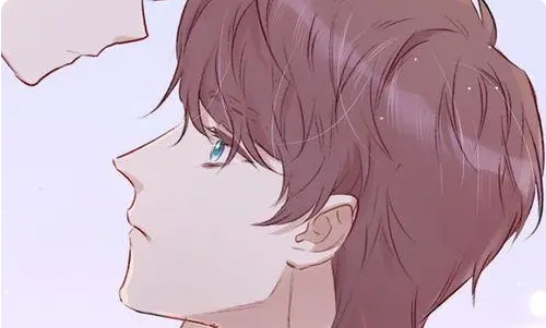 寒梅墨香的作品介绍