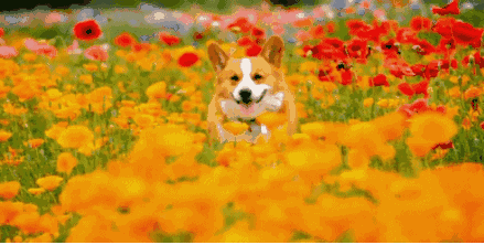 什么是“初春”、“仲春”、“暮春”？