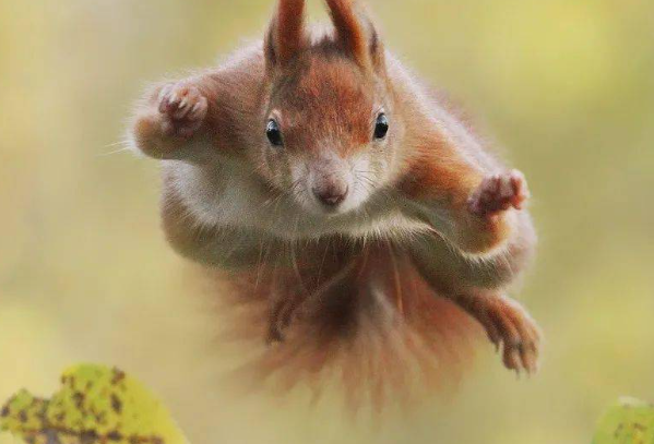 世界上什么人一下子变老打三个数字