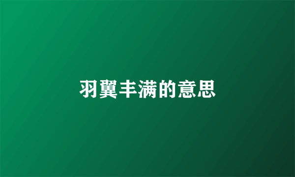 羽翼丰满的意思