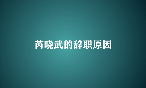 芮晓武的辞职原因