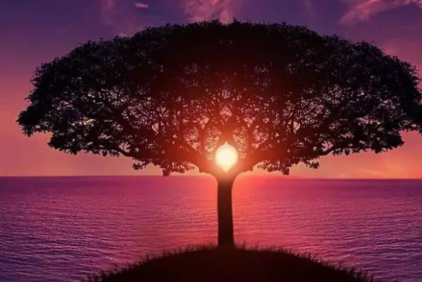 人生真谛是什么