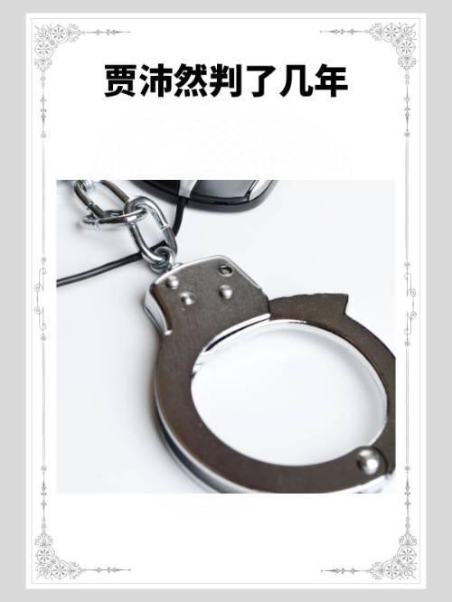 贾沛然判了几年？