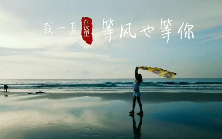 我在等风也在等你上一句