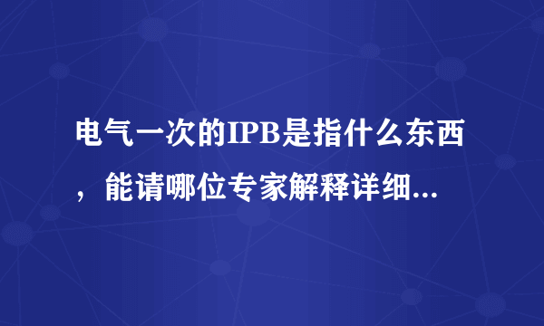电气一次的IPB是指什么东西，能请哪位专家解释详细一点吗？