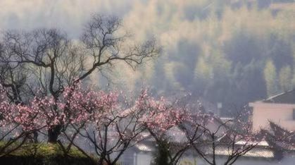 孟春是什么意思