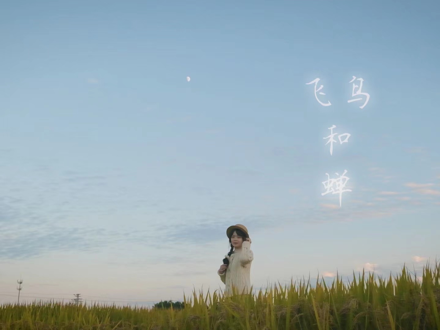 节奏感强又好听的歌曲