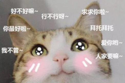 撒娇八连是什么啊？