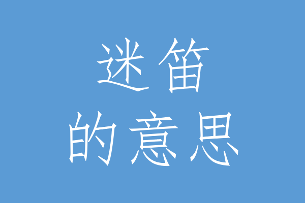 迷笛是什么意思