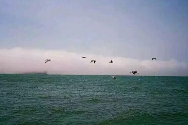 吹梦到西洲歌词原文是什么