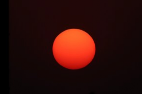 日月如梭指哪个生肖