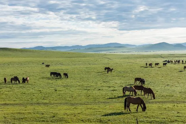 “万马齐喑究可哀”是什么意思？
