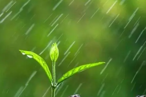 春雨贵如油全诗是什么？