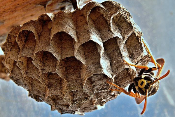 大自然的秘密有哪些