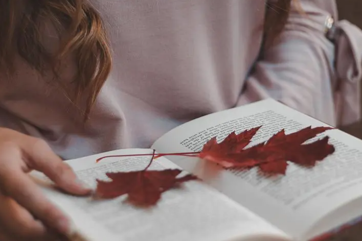 品读的方法有哪些