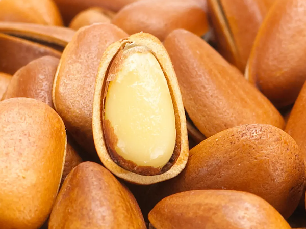 送领导礼物前十件排名