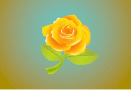 黄玫瑰花语代表什么意思？