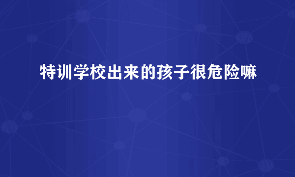 特训学校出来的孩子很危险嘛