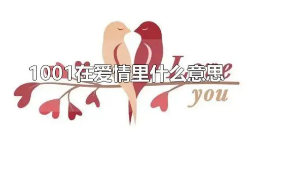 1001是什么意思啊？