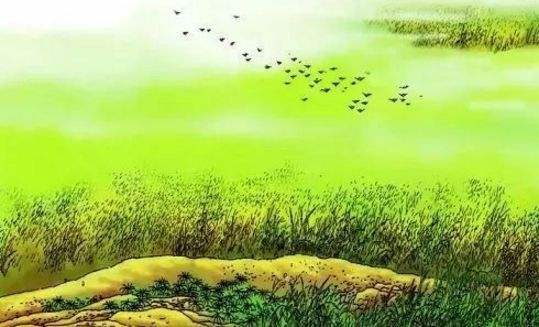 离离原上草，一岁一枯荣是什么意思？