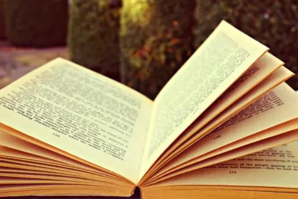 出处是什么意思