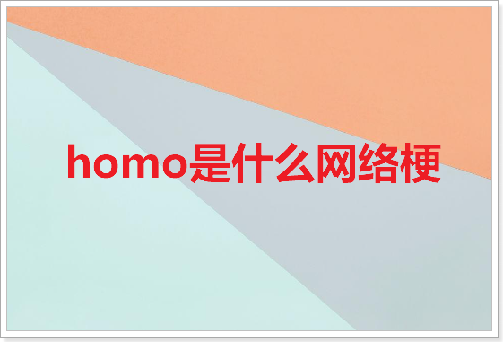 homo是什么网络梗