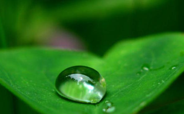 如何才能知道自己的心在想什么？