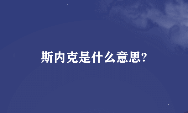 斯内克是什么意思?