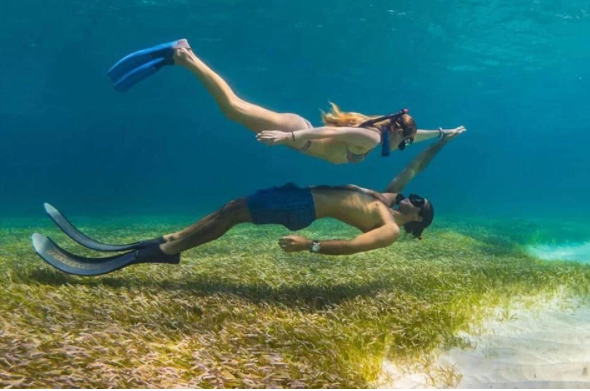 自由潜水证书PADI和AIDA有什么区别？