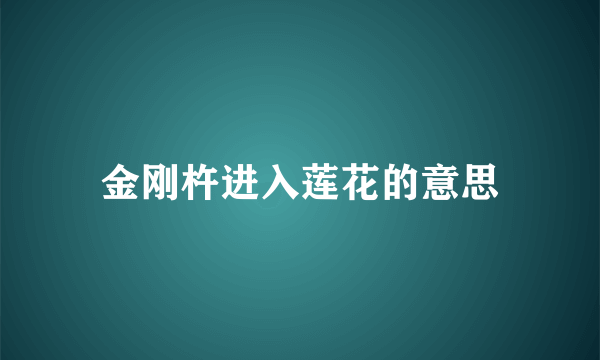 金刚杵进入莲花的意思