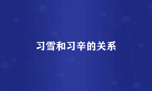 习雪和习辛的关系