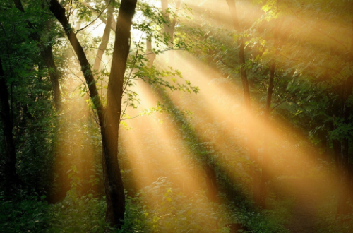 沐浴阳光优美的句子