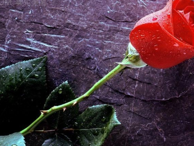 女生能记一辈子的礼物有哪些?