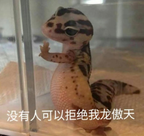 没人能拒绝我龙傲天是什么梗