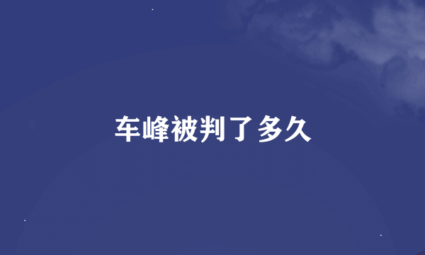 车峰被判了多久