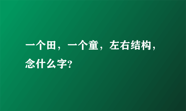 一个田，一个童，左右结构，念什么字？