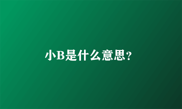 小B是什么意思？