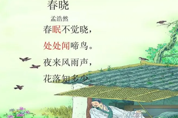 夜来风雨声,花落知多少是哪首诗