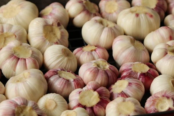 正宗糖蒜10斤的配料表